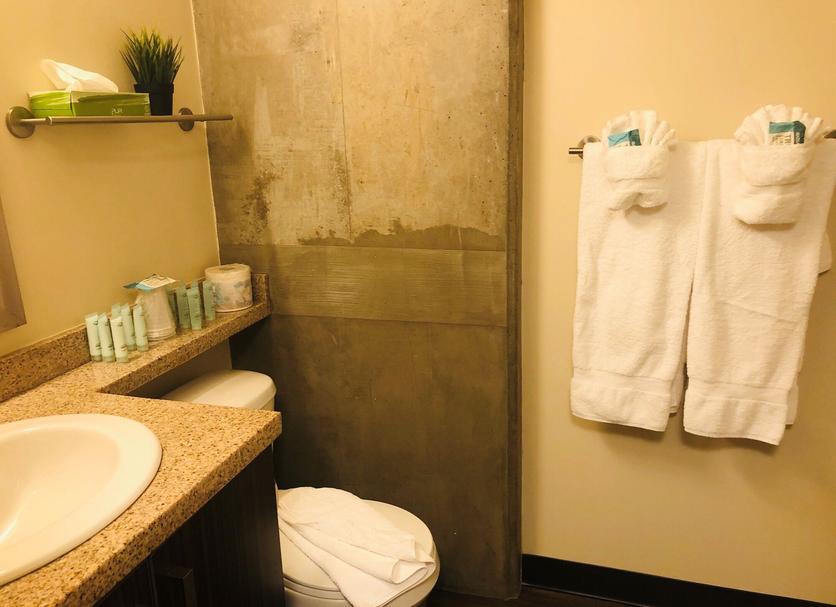 Baño Foto