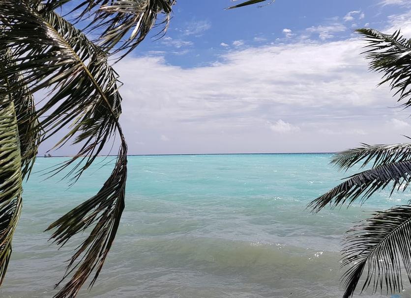 Playa Foto