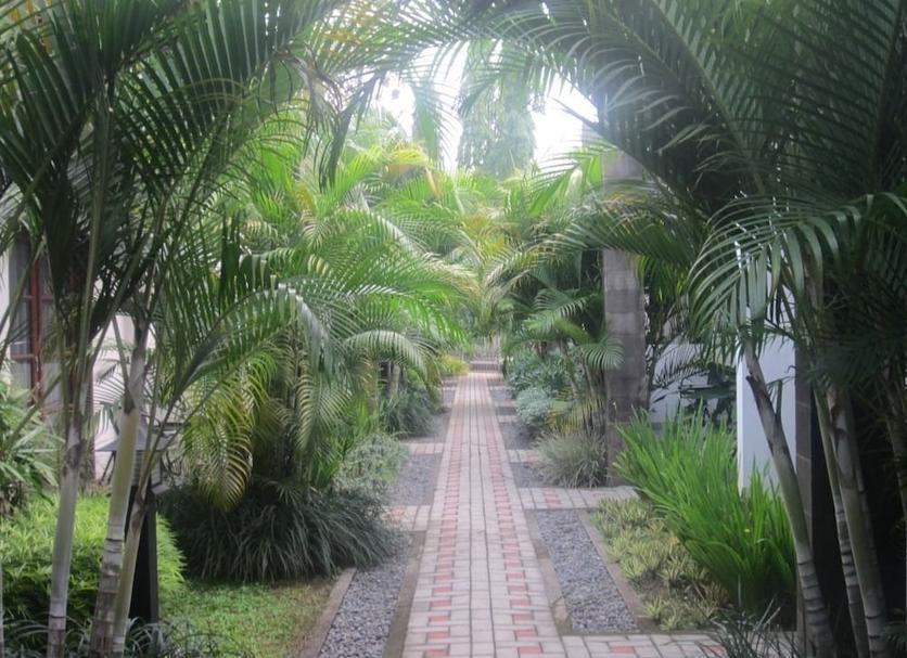 Vista del exterior Foto