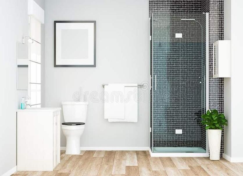 Baño Foto