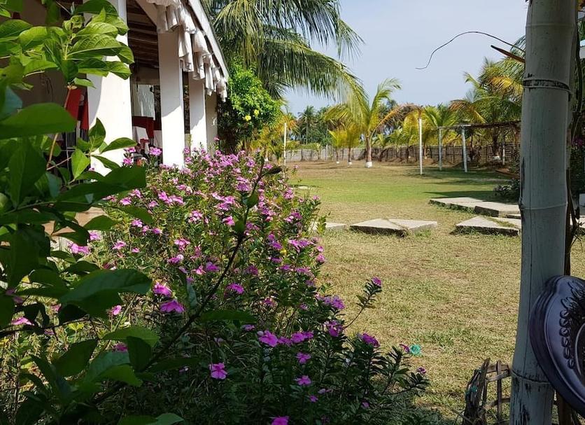 Vista del exterior Foto