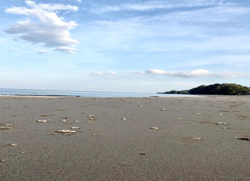 Playa Foto