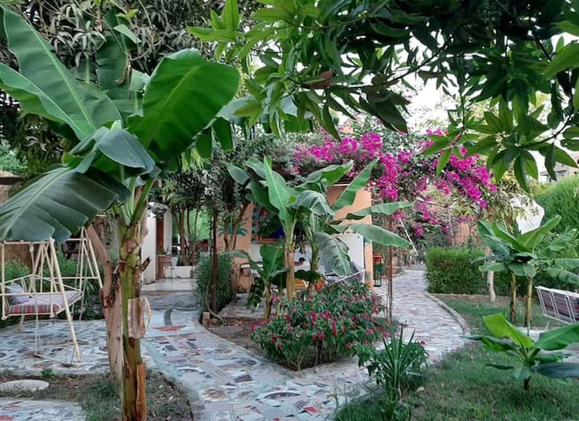 Vista del exterior Foto