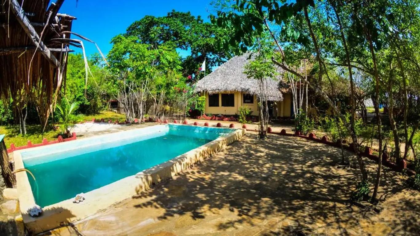 Gecko Nature Lodge Home Of Swahili Diver