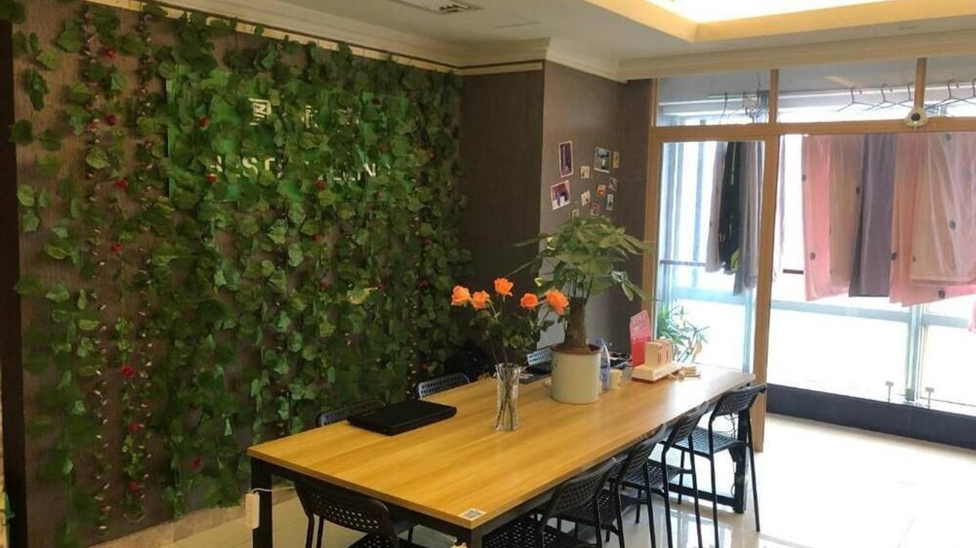 Best Cat Hostel