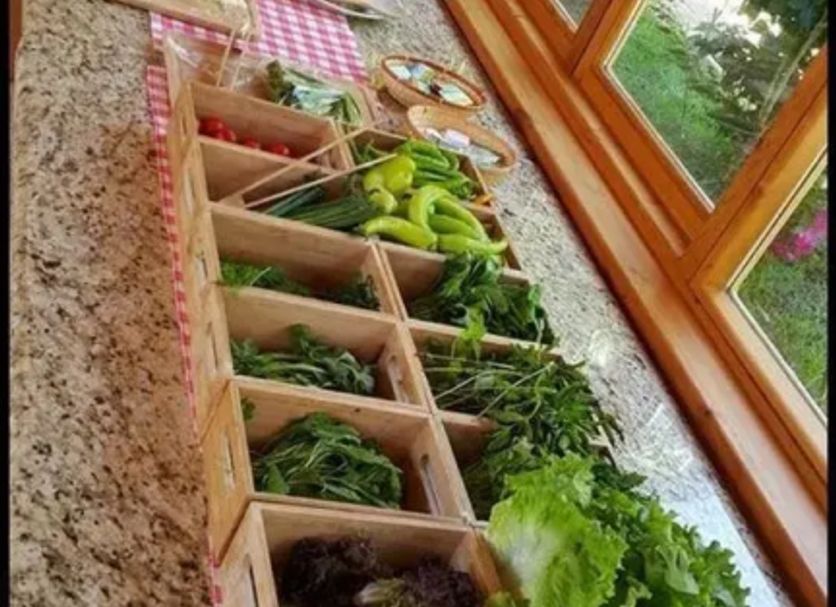 Buffet Foto
