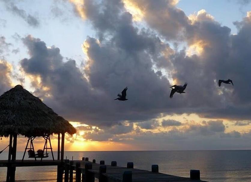 Playa Foto