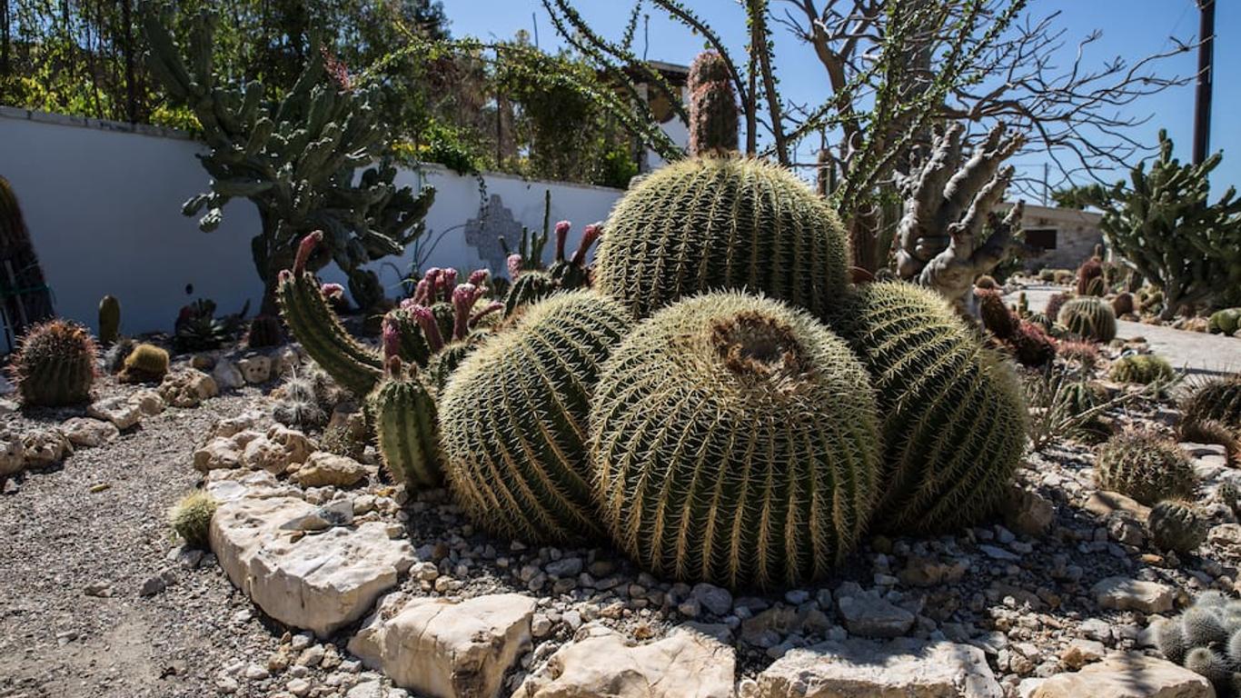 Relais Garden Cactus B&B