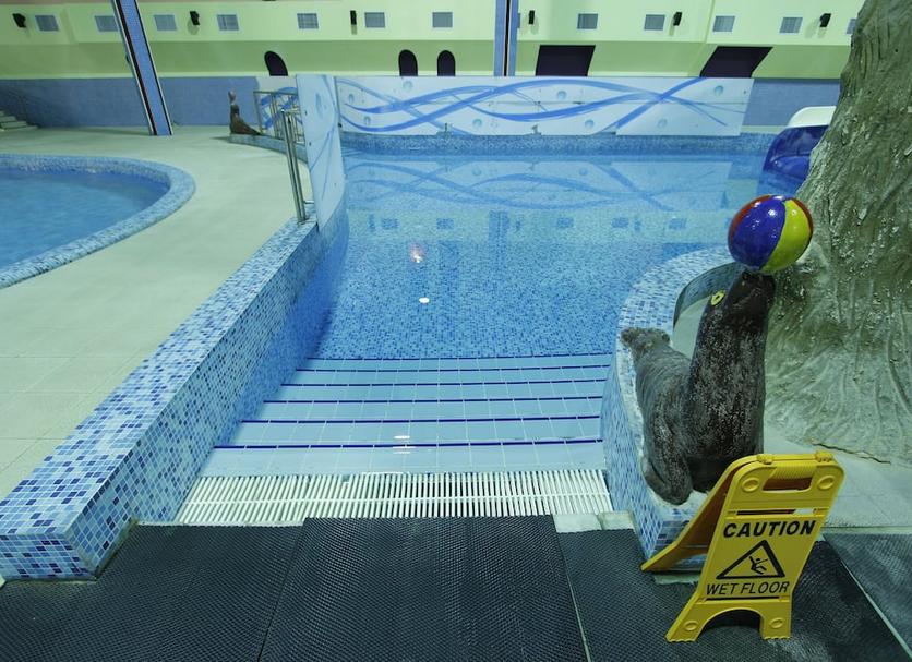 Piscina Foto