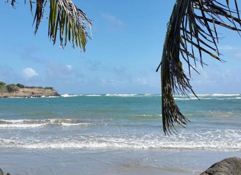 Playa Foto