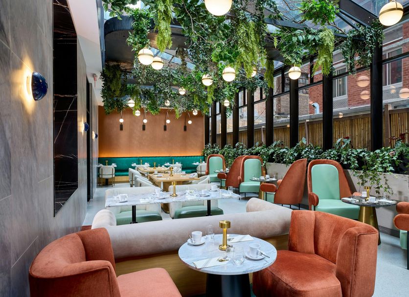 Restaurante Foto