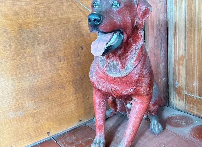 Otros Foto