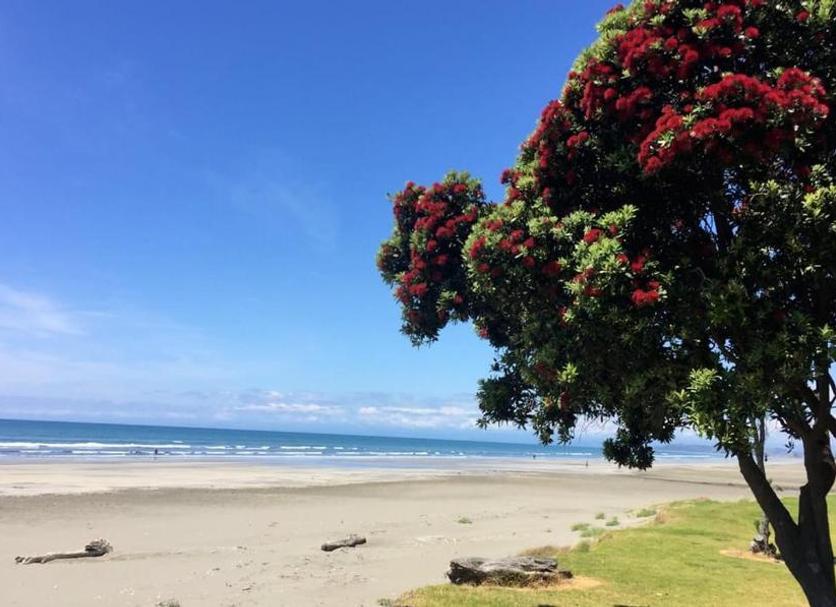 Playa Foto