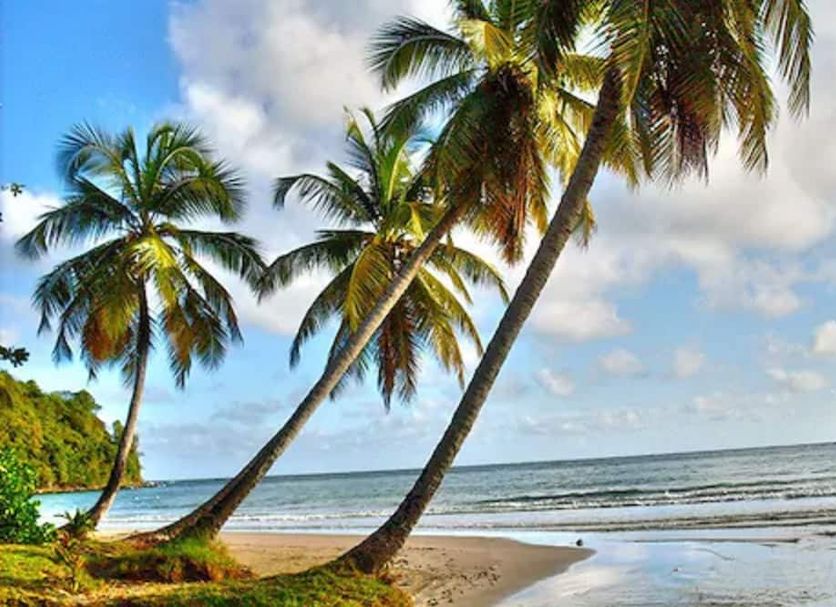 Playa Foto