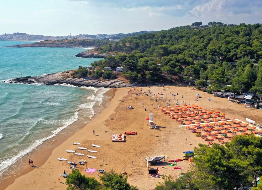 Playa Foto