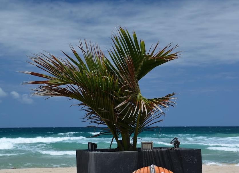 Playa Foto