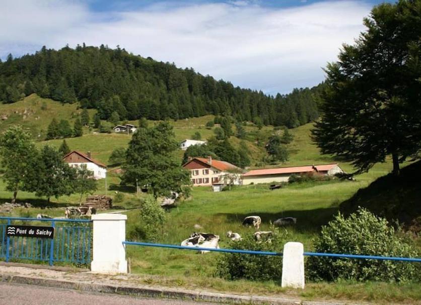 Vista del exterior Foto