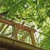 Otros