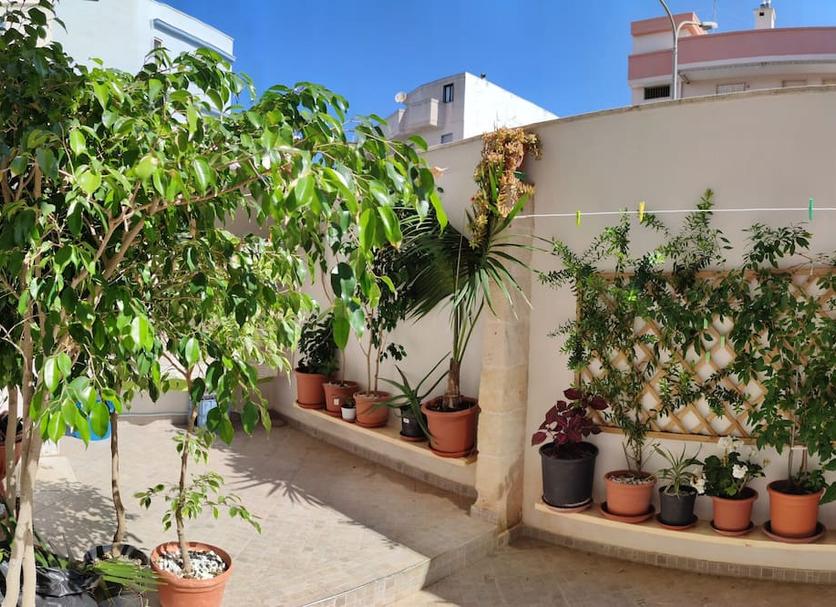 Vista del exterior Foto