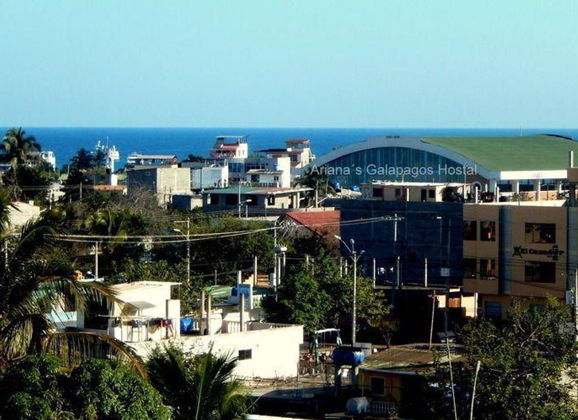Otros Foto