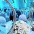 Sala de banquetes