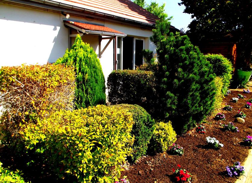 Vista del exterior Foto