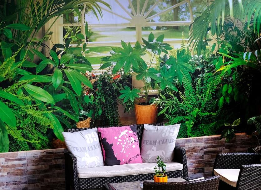 Patio Foto