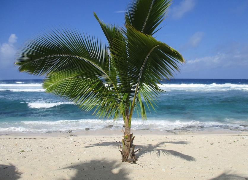 Playa Foto