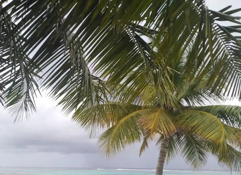 Playa Foto