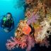 Otros