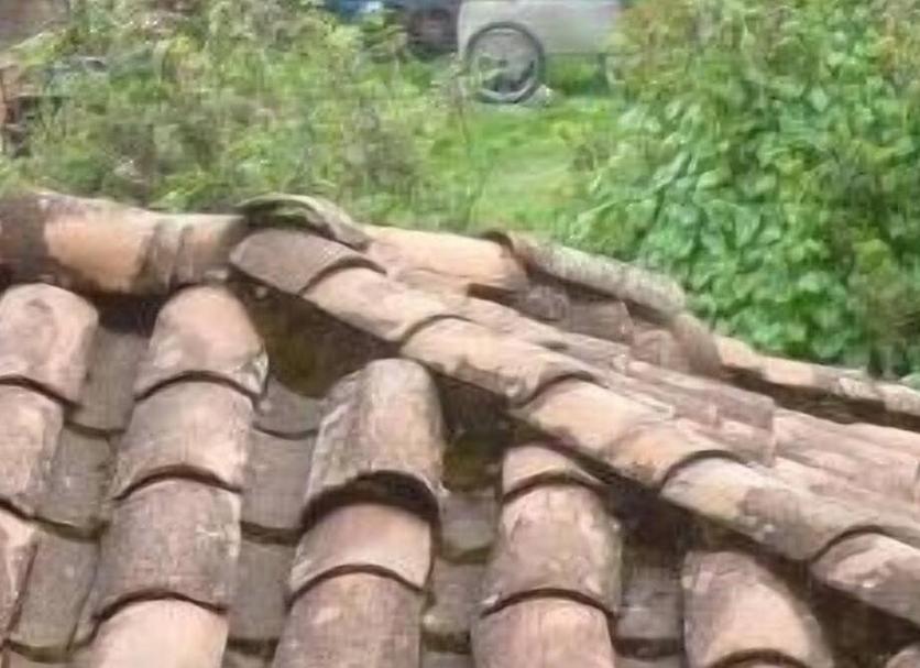 Otros Foto