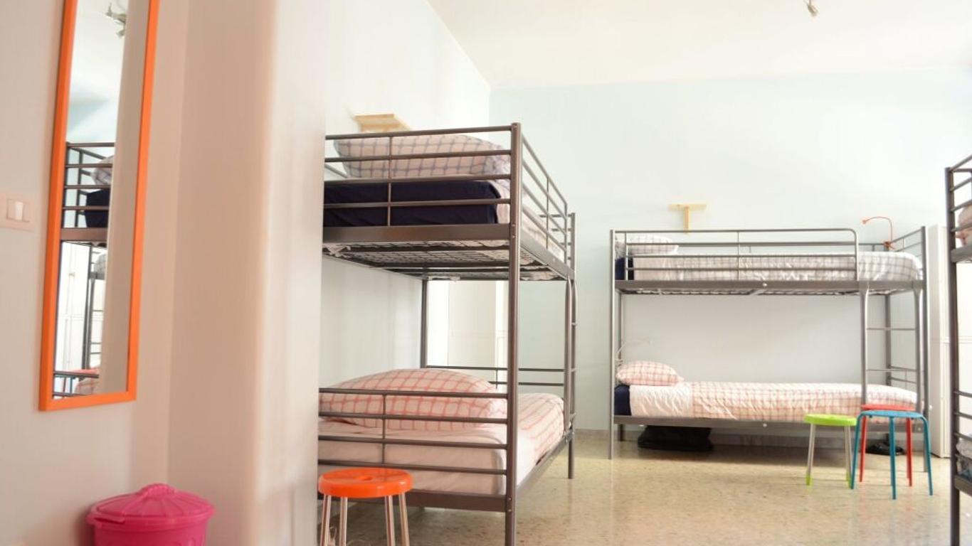 Olive Tree - Hostel