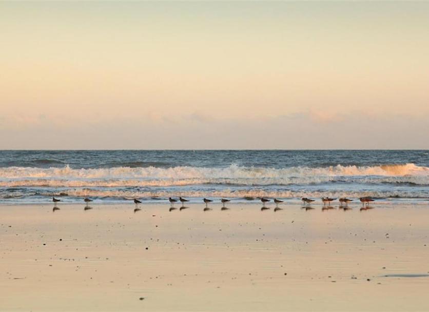 Playa Foto