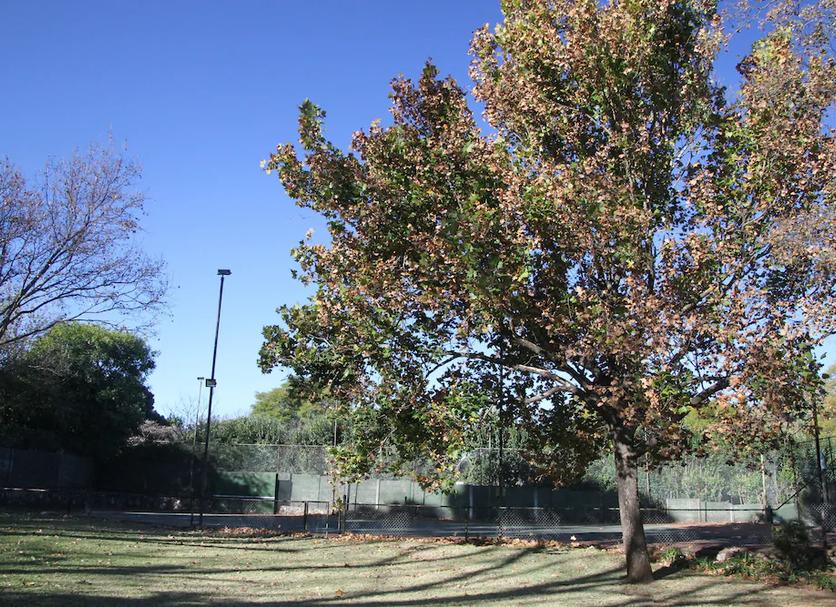 Vista del exterior Foto