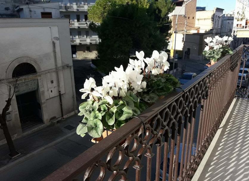 Balcón Foto