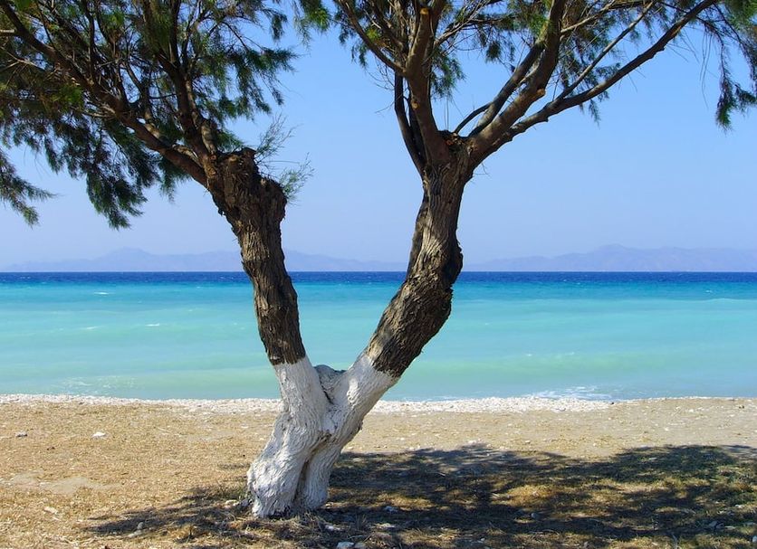 Playa Foto
