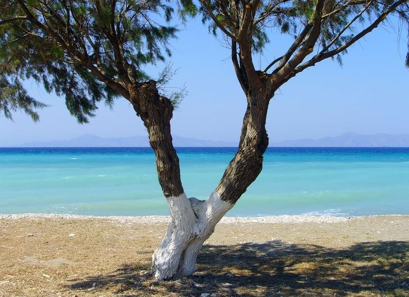 Playa Foto