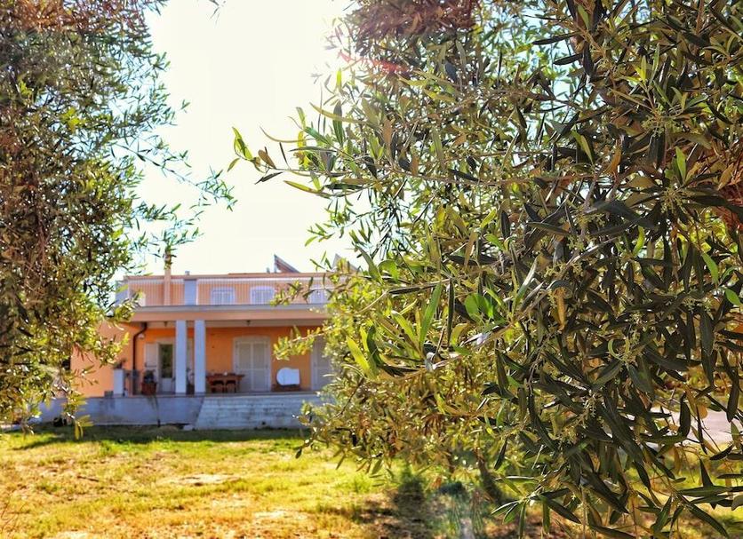 Vista del exterior Foto
