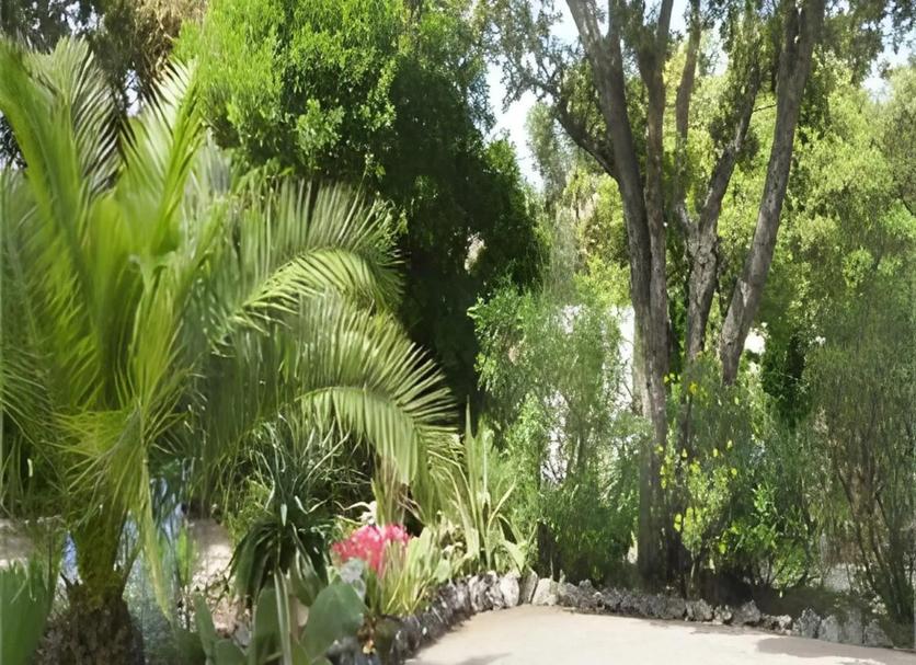 Vista del exterior Foto