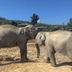 Otros