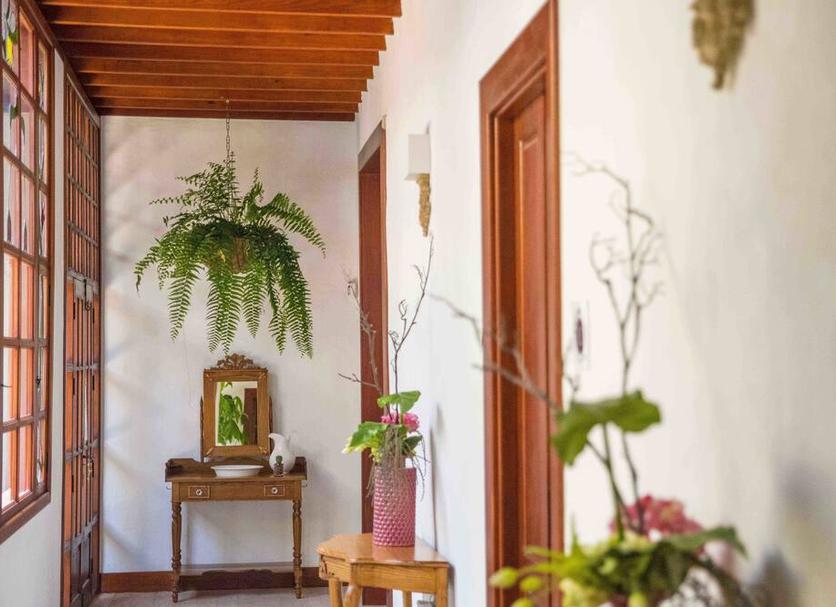 Servicio de la habitación Foto