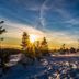Otros