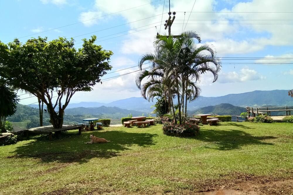 Vista del exterior