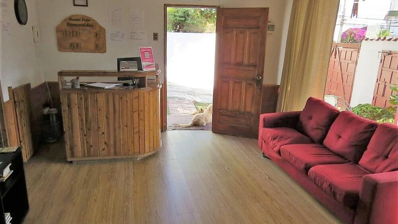 Palm Hostal