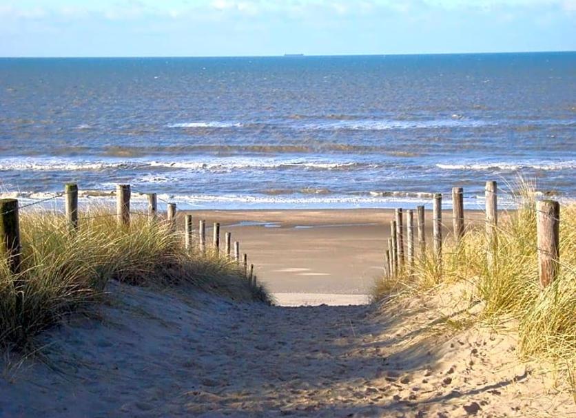Playa Foto