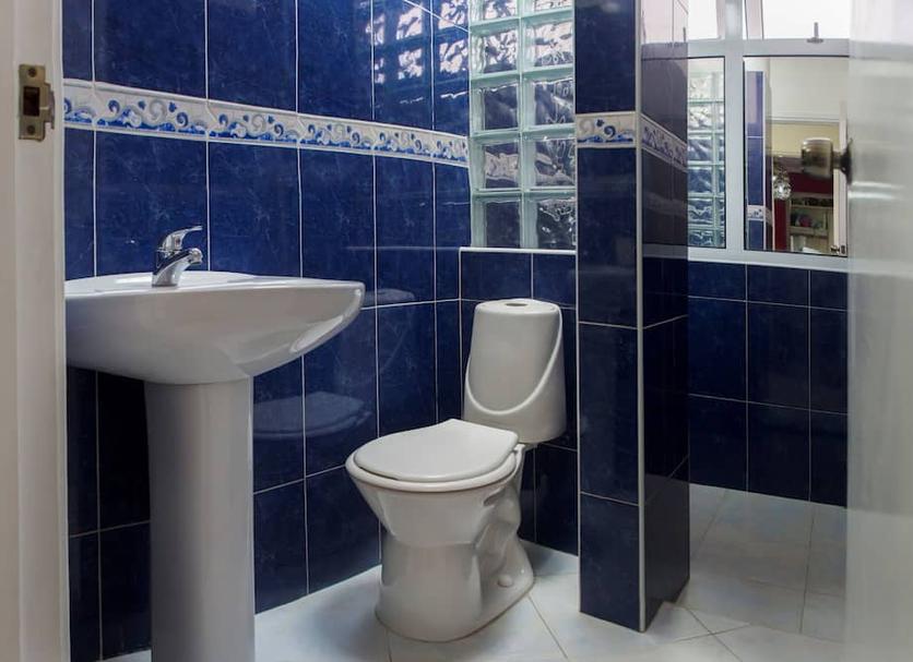 Baño Foto