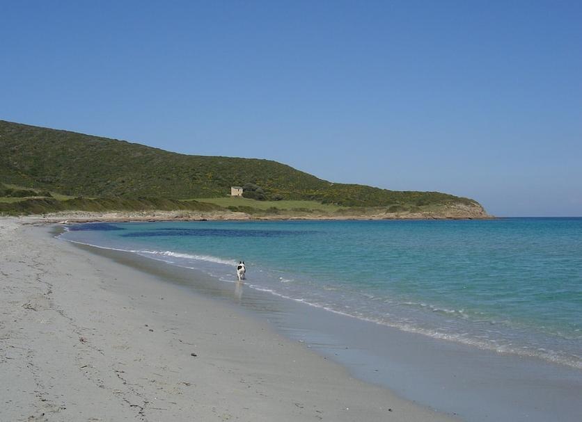 Playa Foto