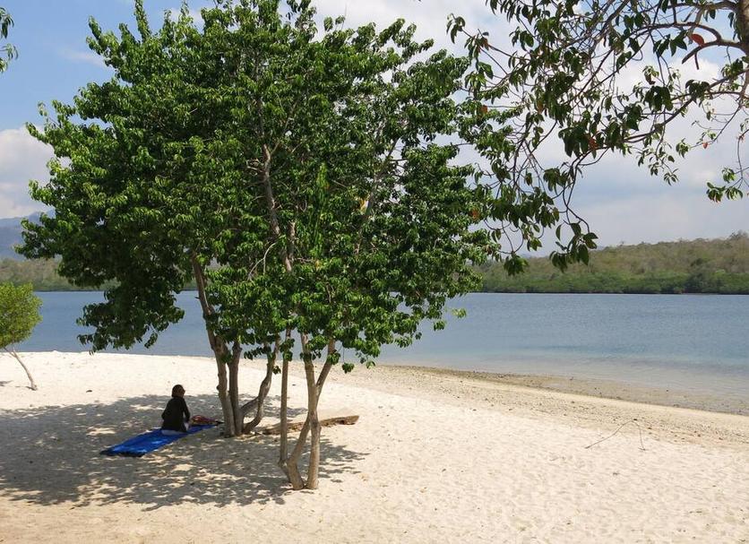 Playa Foto
