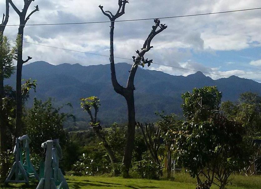 Vista del exterior Foto