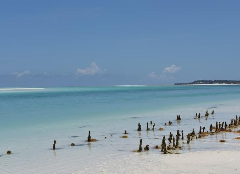 Playa Foto